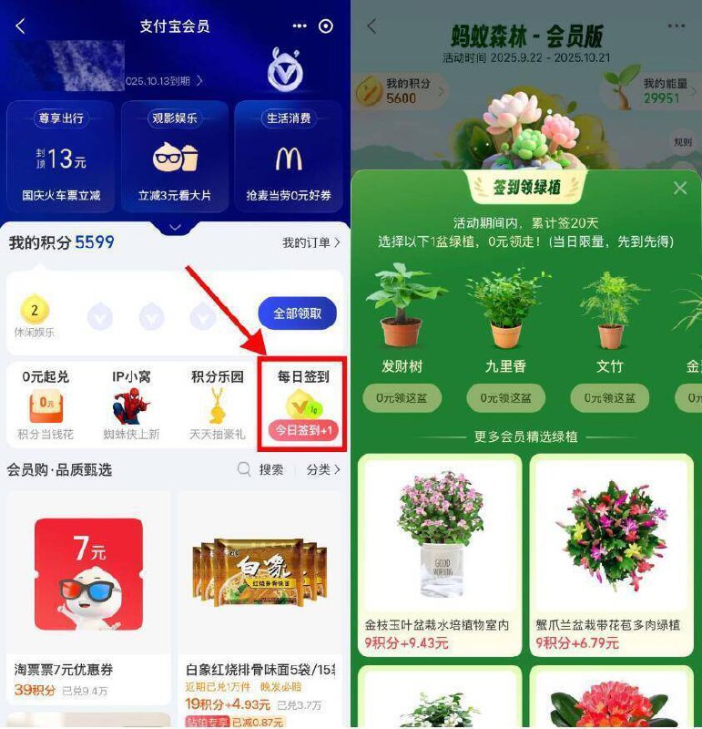zfb我的-zfb会員如图右侧“每日簽到”累计簽.到0亓拿绿植簽.到天数每个人不同